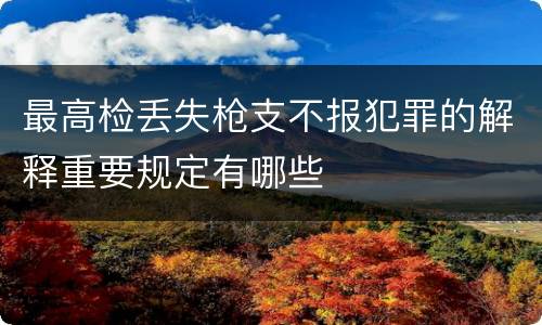 最高检丢失枪支不报犯罪的解释重要规定有哪些