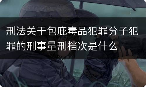 刑法关于包庇毒品犯罪分子犯罪的刑事量刑档次是什么