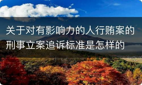 关于对有影响力的人行贿案的刑事立案追诉标准是怎样的