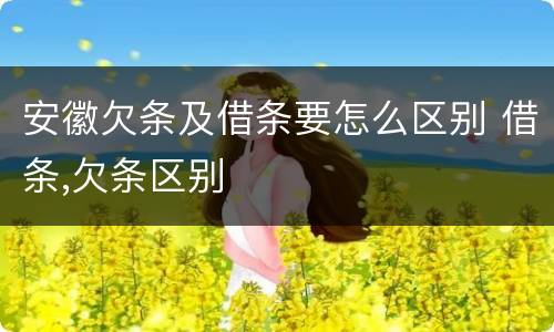 安徽欠条及借条要怎么区别 借条,欠条区别