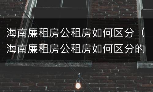 海南廉租房公租房如何区分（海南廉租房公租房如何区分的）