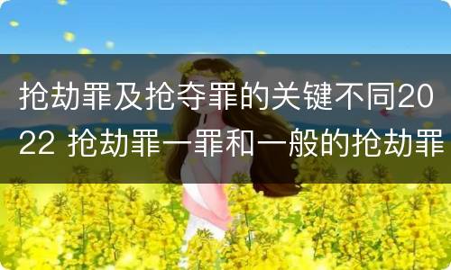 抢劫罪及抢夺罪的关键不同2022 抢劫罪一罪和一般的抢劫罪