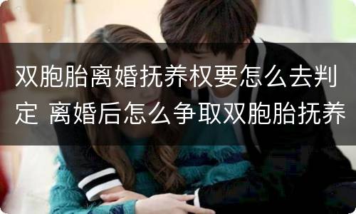 双胞胎离婚抚养权要怎么去判定 离婚后怎么争取双胞胎抚养权