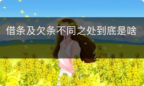 借条及欠条不同之处到底是啥