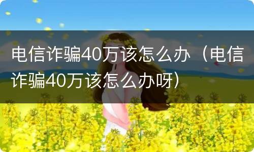 电信诈骗40万该怎么办（电信诈骗40万该怎么办呀）