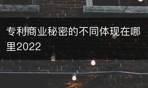 专利商业秘密的不同体现在哪里2022