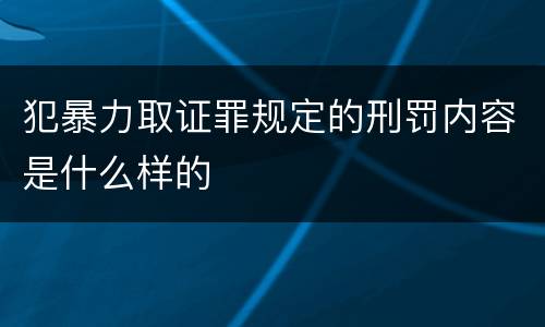 犯暴力取证罪规定的刑罚内容是什么样的