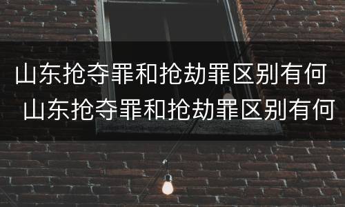 山东抢夺罪和抢劫罪区别有何 山东抢夺罪和抢劫罪区别有何联系
