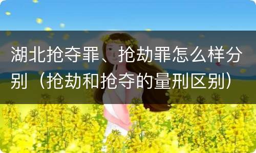 湖北抢夺罪、抢劫罪怎么样分别（抢劫和抢夺的量刑区别）