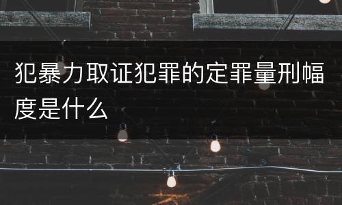 犯暴力取证犯罪的定罪量刑幅度是什么