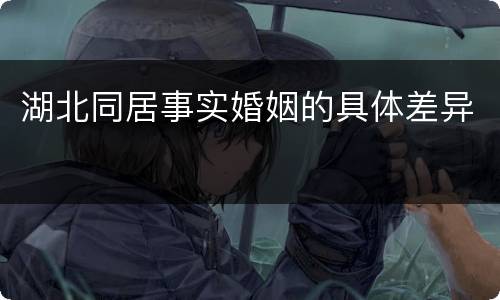 湖北同居事实婚姻的具体差异