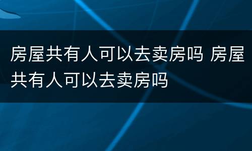 房屋共有人可以去卖房吗 房屋共有人可以去卖房吗