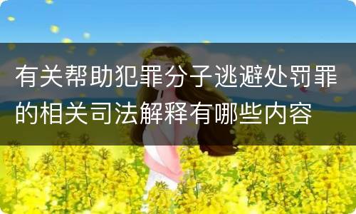 有关帮助犯罪分子逃避处罚罪的相关司法解释有哪些内容