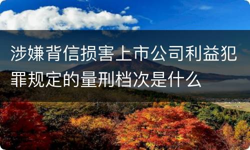 涉嫌背信损害上市公司利益犯罪规定的量刑档次是什么