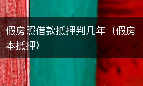 假房照借款抵押判几年（假房本抵押）