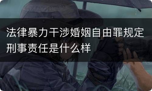 法律暴力干涉婚姻自由罪规定刑事责任是什么样