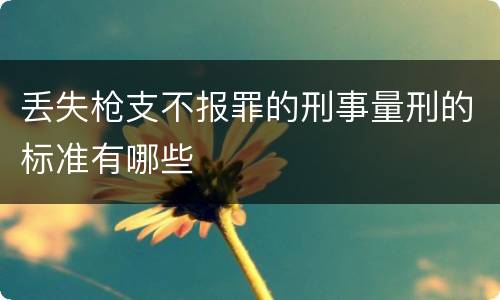 丢失枪支不报罪的刑事量刑的标准有哪些