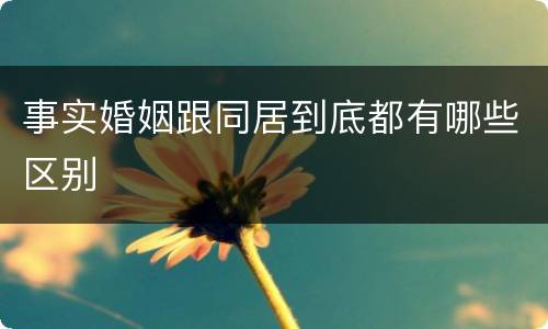 事实婚姻跟同居到底都有哪些区别