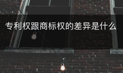 专利权跟商标权的差异是什么