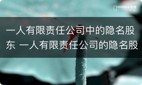 一人有限责任公司中的隐名股东 一人有限责任公司的隐名股东退股纠纷