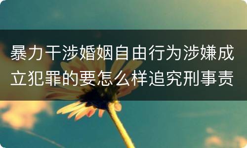 暴力干涉婚姻自由行为涉嫌成立犯罪的要怎么样追究刑事责任