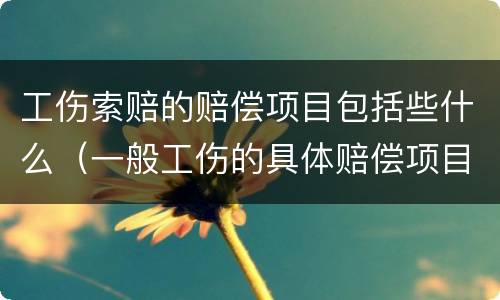 工伤索赔的赔偿项目包括些什么（一般工伤的具体赔偿项目）