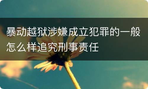 暴动越狱涉嫌成立犯罪的一般怎么样追究刑事责任