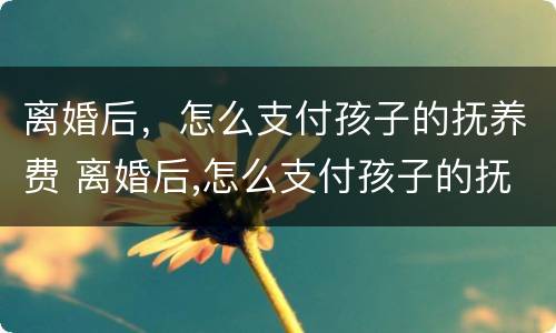 离婚后，怎么支付孩子的抚养费 离婚后,怎么支付孩子的抚养费和抚养费