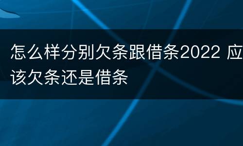 怎么样分别欠条跟借条2022 应该欠条还是借条