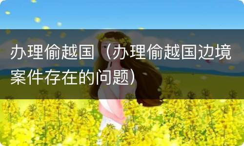 办理偷越国（办理偷越国边境案件存在的问题）