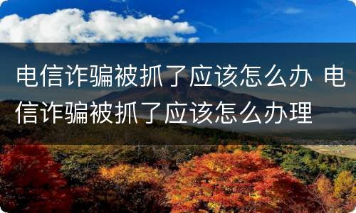 电信诈骗被抓了应该怎么办 电信诈骗被抓了应该怎么办理