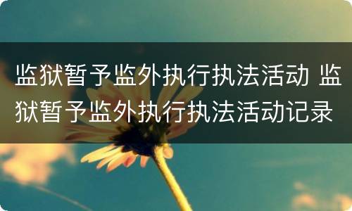 监狱暂予监外执行执法活动 监狱暂予监外执行执法活动记录
