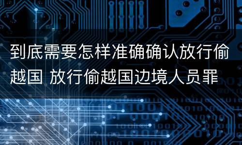到底需要怎样准确确认放行偷越国 放行偷越国边境人员罪