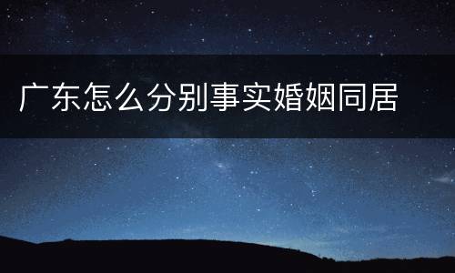 广东怎么分别事实婚姻同居