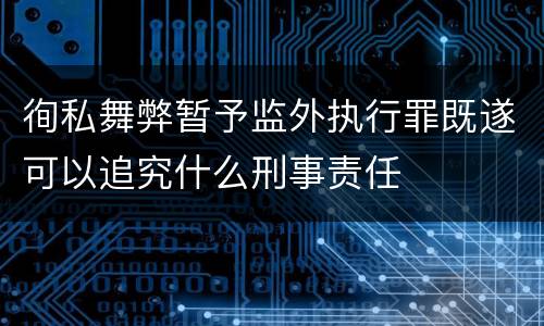 徇私舞弊暂予监外执行罪既遂可以追究什么刑事责任