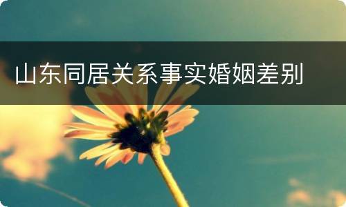 山东同居关系事实婚姻差别