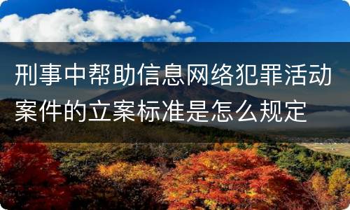 刑事中帮助信息网络犯罪活动案件的立案标准是怎么规定