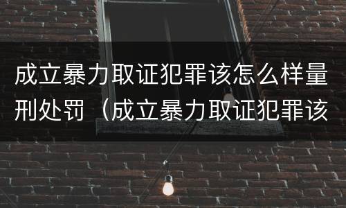 成立暴力取证犯罪该怎么样量刑处罚（成立暴力取证犯罪该怎么样量刑处罚案例）