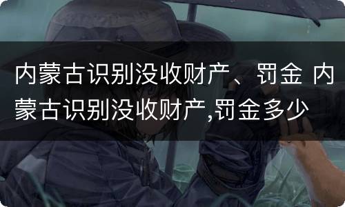 内蒙古识别没收财产、罚金 内蒙古识别没收财产,罚金多少