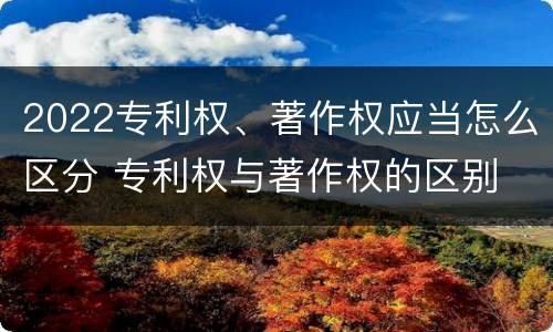 2022专利权、著作权应当怎么区分 专利权与著作权的区别