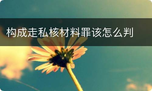 构成走私核材料罪该怎么判