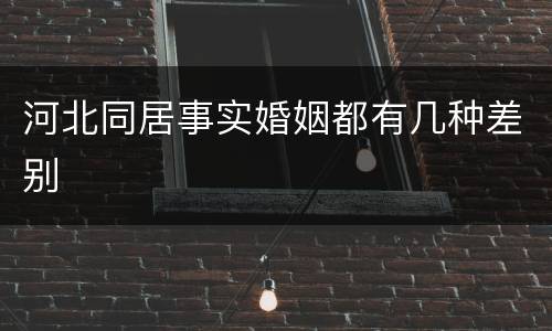 河北同居事实婚姻都有几种差别