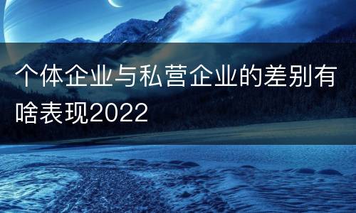 个体企业与私营企业的差别有啥表现2022