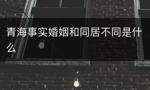 青海事实婚姻和同居不同是什么