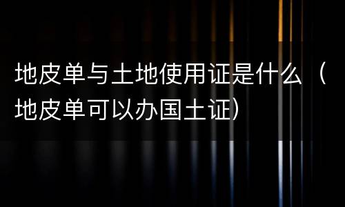 地皮单与土地使用证是什么（地皮单可以办国土证）