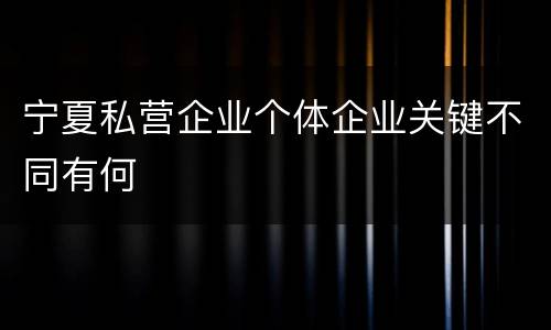 宁夏私营企业个体企业关键不同有何