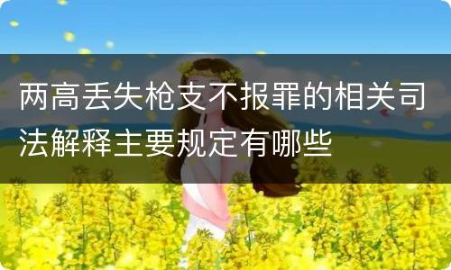 两高丢失枪支不报罪的相关司法解释主要规定有哪些