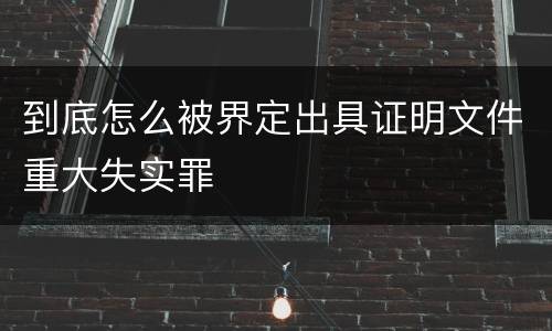 到底怎么被界定出具证明文件重大失实罪