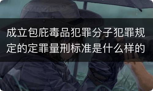 成立包庇毒品犯罪分子犯罪规定的定罪量刑标准是什么样的
