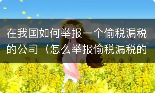 在我国如何举报一个偷税漏税的公司（怎么举报偷税漏税的公司）